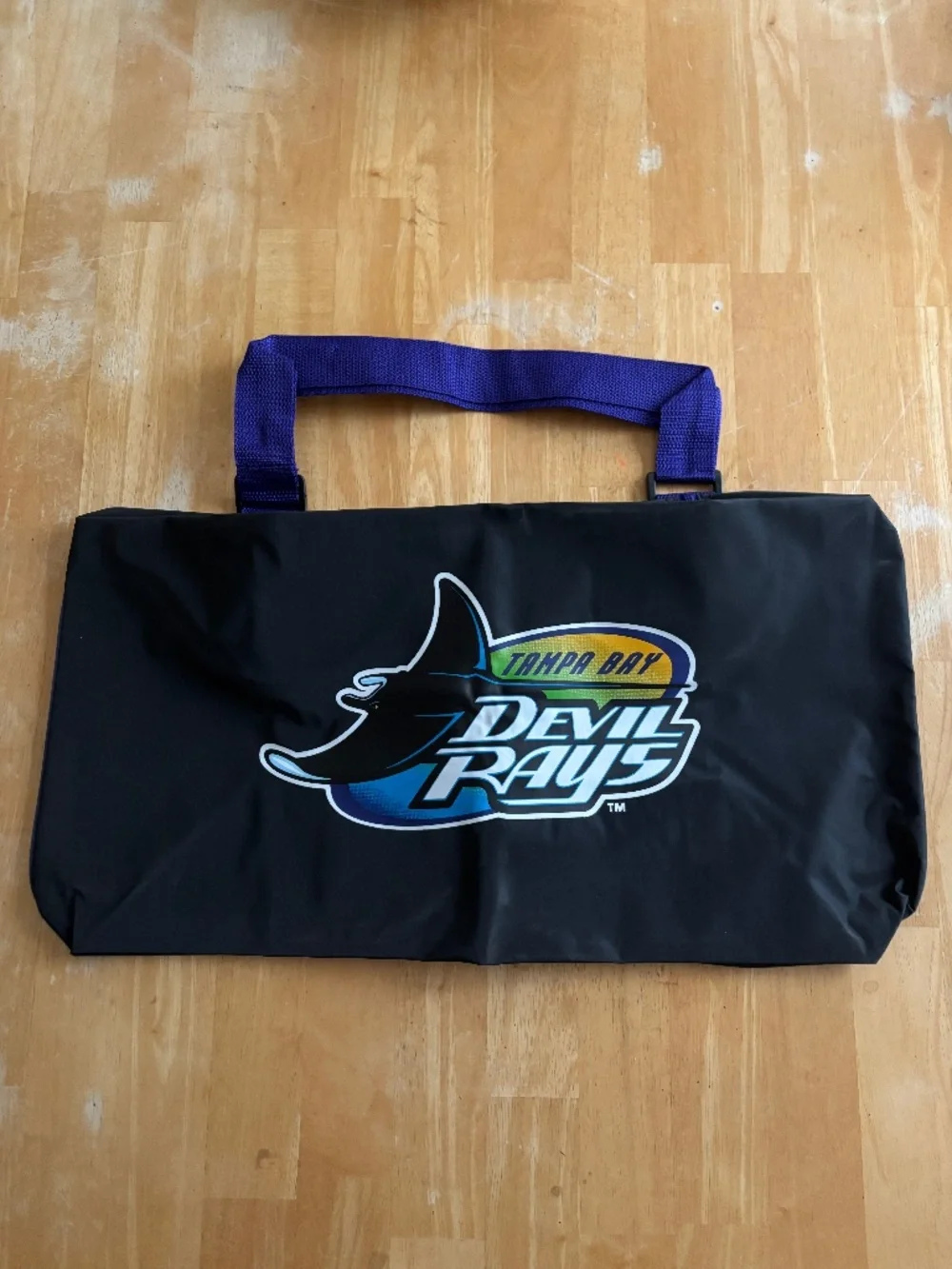 Tamp Bay Rays Duffel Bag